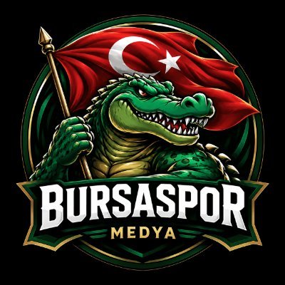 bsmedya's profile picture