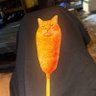justme profil fotoğrafı