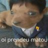 O Informático's profile picture