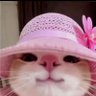 ⊹ ࣪ ˖ تــووكــريــهه🎀 的头像
