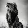 EshanDK profil fotoğrafı