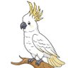 Bird Bird 的头像