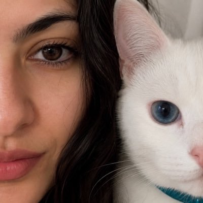 Türkçü 𐰀𐰢's profile picture