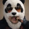 Kevin Wikse's profile picture