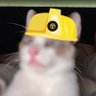 Profilbild von BitMech