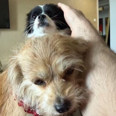 mattyryze's profile picture