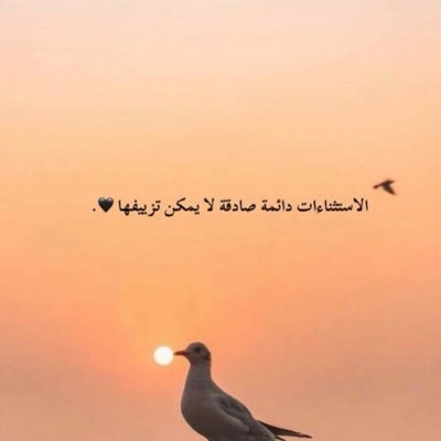 norasae22968372's profile picture