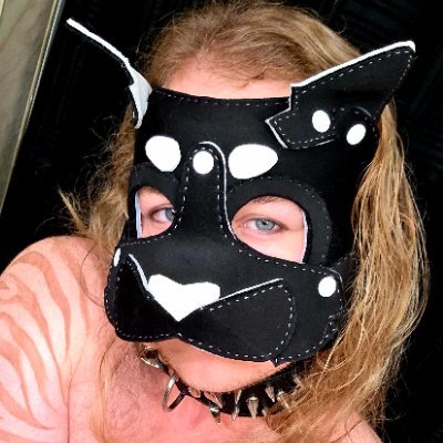 ftmbison's profile picture