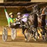 Standardbreds_N_Hockey 的头像