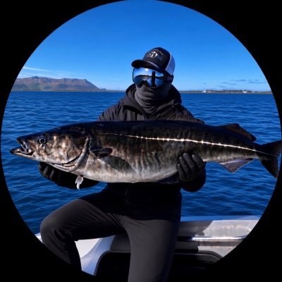 coaltweet's profile picture