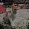 Фото профиля Fenerli Şekerpare