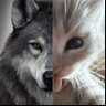 ! profil fotoğrafı