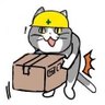 きんの字 的头像
