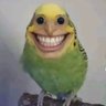 Profilbild von mari !