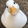 Profilbild von kmk.prlky