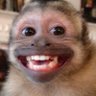 𝐚𝐧𝐧𝐞's profile picture