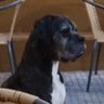 Profilbild von Violeta 2314 Cuenta nva