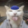 neverwaslistening's profile picture