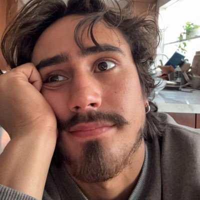 veehrdadeiro's profile picture