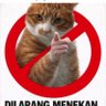 oreng's profile picture