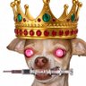 LORD DARTH PERROLOKO ⭐ 🇨🇱⛧🤟🐕🐾🦞🔪🎸🚽🧻🪓💣🍺🍻🍕🍟🍔🍗🥩🔥🔥😎's profile picture