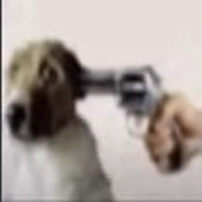 basalt's profile picture