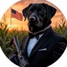 Фото профиля Señor Frijol 🇺🇸
