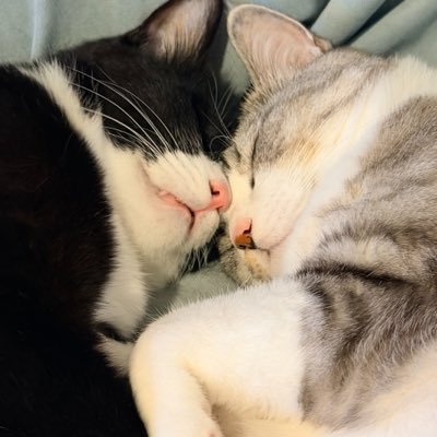 famiyun's profile picture