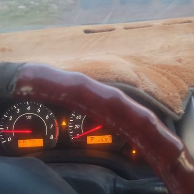 Tanzbkkkk's profile picture