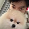 Nozomi's profile picture