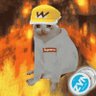 creamster 🐧's profile picture