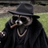 Profilbild von SOLphotini