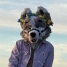⟨⟨⟨ 𝙈𝙊𝙊𝙉 𝙏𝙃𝙀 𝙁𝙊𝙇𝙁 ⟩⟩⟩'s profile picture