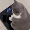 Profilbild von lostandconfused