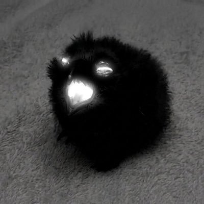 Jesse's profile picture