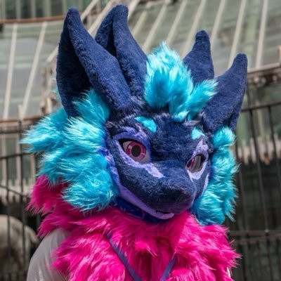 nightphin's profile picture