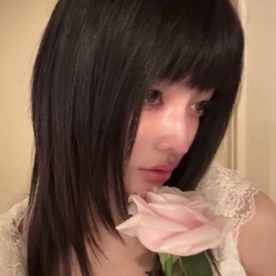 irohatartaruga's profile picture