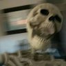 zip.docx's profile picture