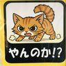 Siberian cat lover's profile picture