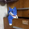 Bilalba's profile picture