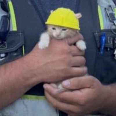 rightraaa's profile picture