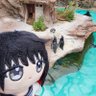 ぽこやま's profile picture