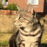 Profilbild von Charlie