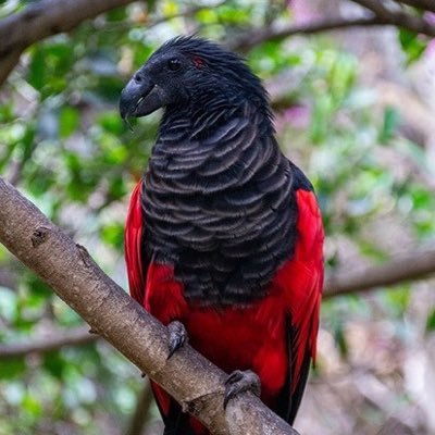 Argente Abin Reloand🥛's profile picture