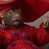 ratplug's profile picture
