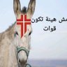 Rola Farhaat profil fotoğrafı