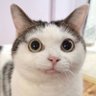 coco_jm's profile picture