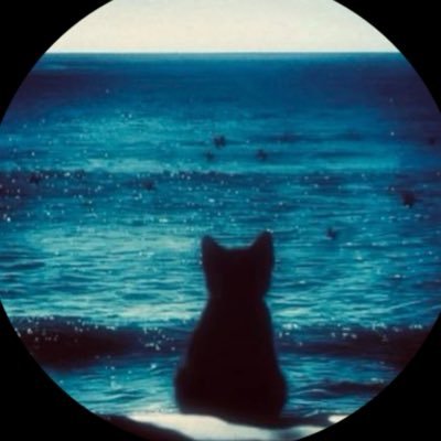 LS's profile picture