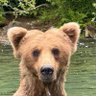 Profilbild von CingRed