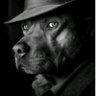 Profilbild von .hank71